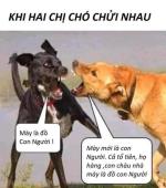 TÁC DỤNG CỦA MÁY CHUYỂN CƠN ĐAU !