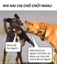 TÁC DỤNG CỦA MÁY CHUYỂN CƠN ĐAU !
