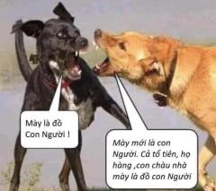 Chuyện vui ĐIÊN CHỨ KHÔNG NGU !