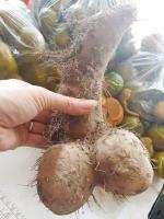 Chuyện vui VỊ TRÍ CỤ THỂ...