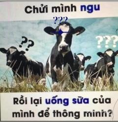Chuyện vui ĂN CẢ VỎ MỚI TỐT !