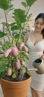 Chuyện vui CÓ NHẬN RA ĐƯỢC ĐÂU MÀ ĐÒI...?